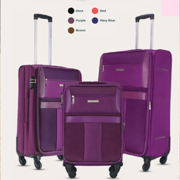 SCS-NML-1005